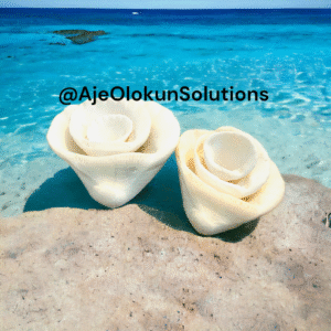 Seashells