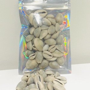 African Cowries