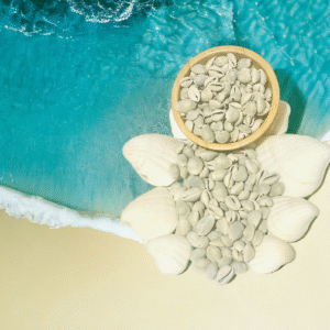 Aje Cowries & Seashells